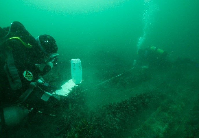 Underwater Surveying